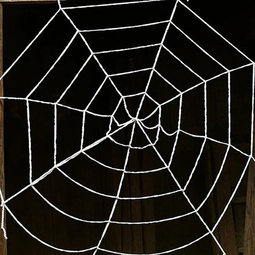 Gigantyczna pajęczyna z pająkiem